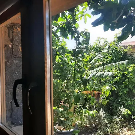 فيلة Casa Africa *